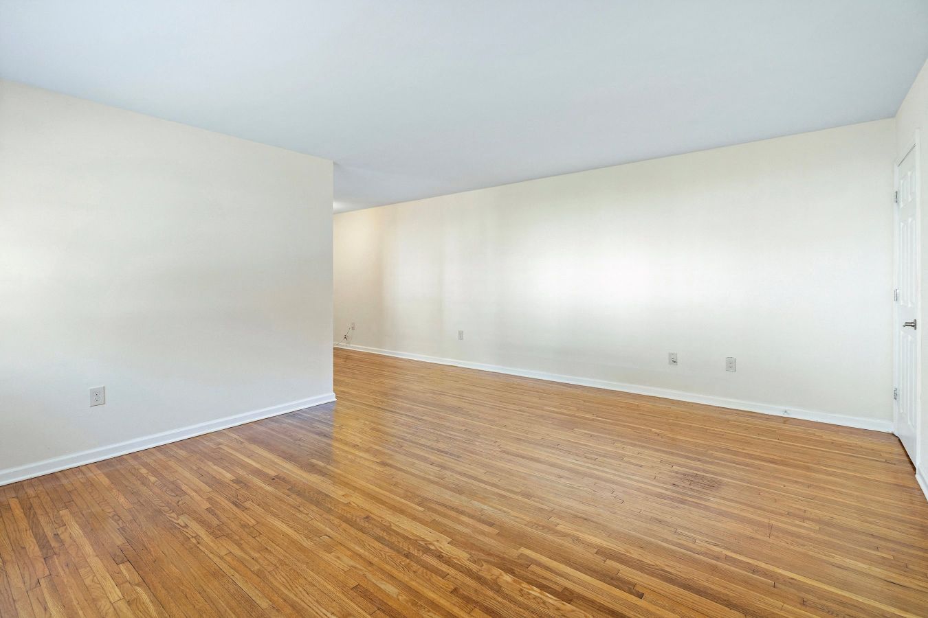 Gallery Photo 18